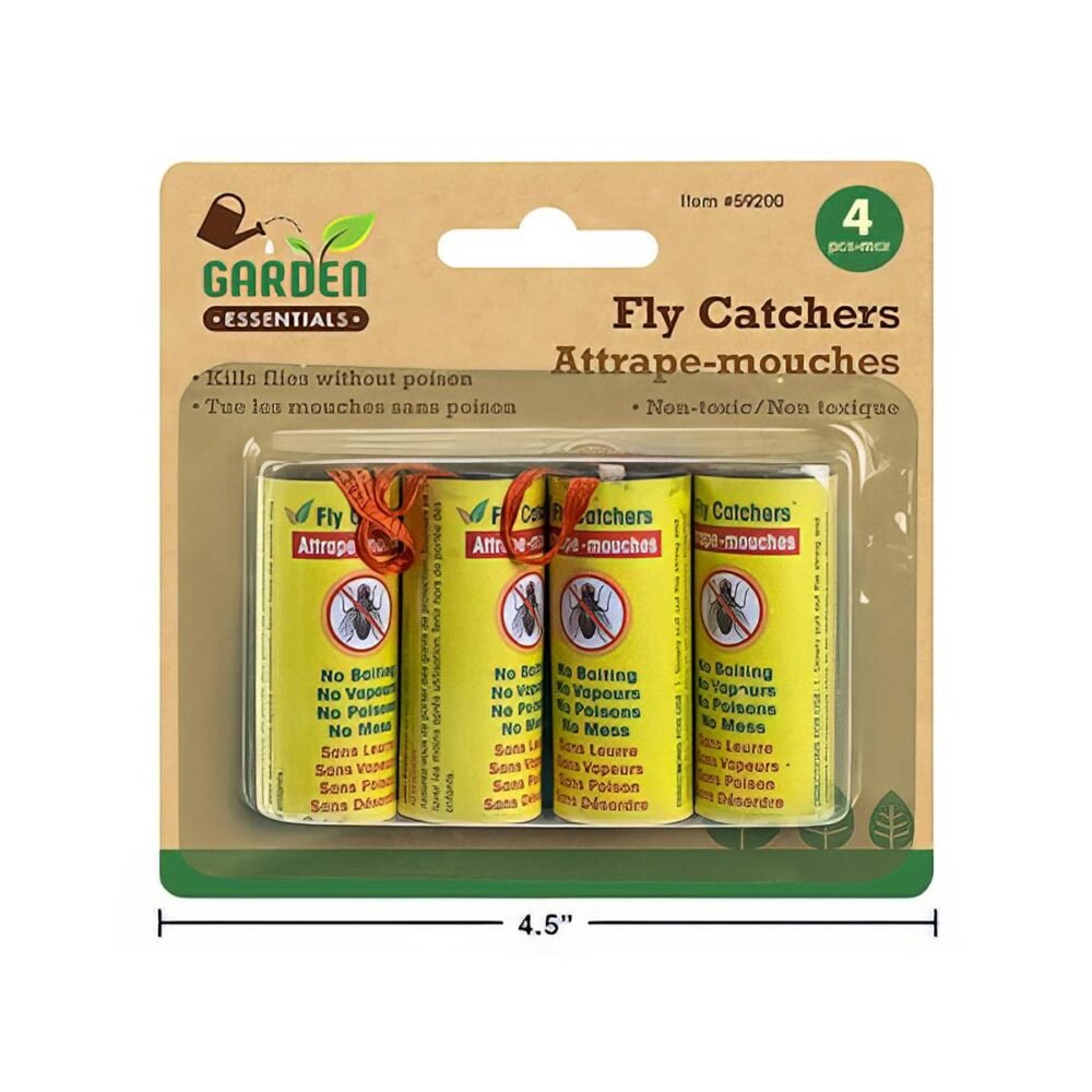 fly catchers