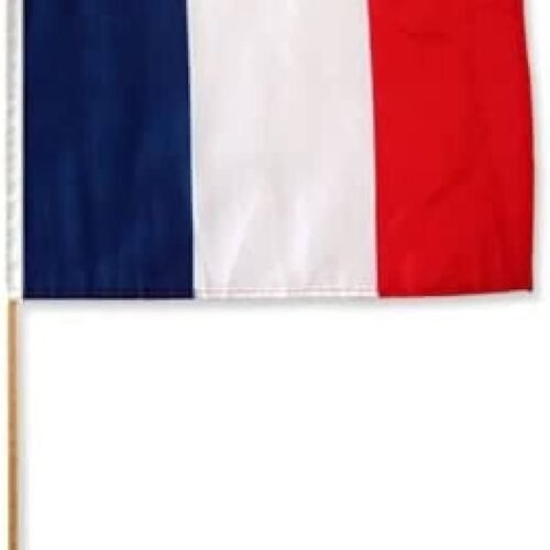 france flag stick (45x30cm)