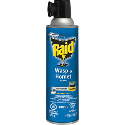 raid wasp & hornet killer spray
