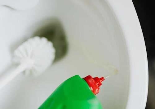 Toilet Bowl Cleaner - Deep Reach