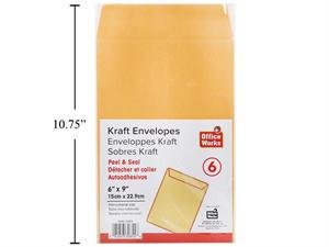 kraft envelope 6*9