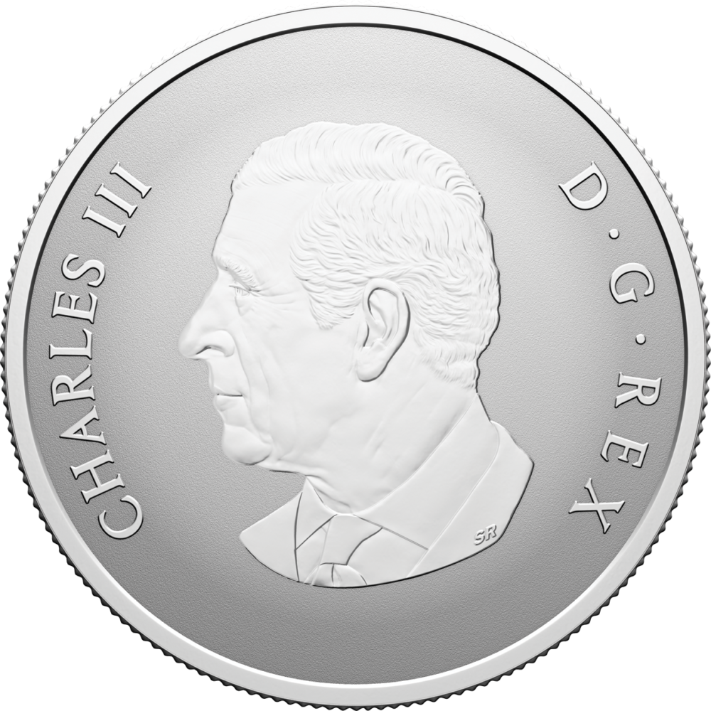 $10 fine silver coin welcome to the world (2026)