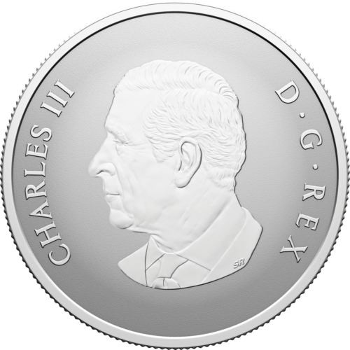 $10 fine silver coin welcome to the world (2026)