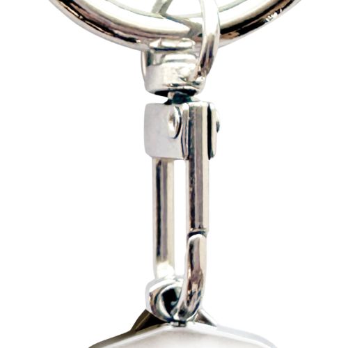 lucky loonie in keychain (2026)