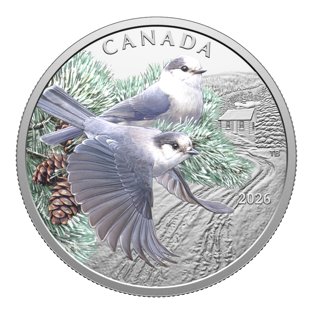 $20 Fine Silver Coin - Colourful Birds: Canada Jays (2026)