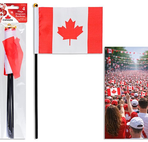 Canada Flag (4x6in) (Pk/4)